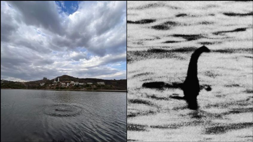 FOTO: ¿Monstruo o broma? Habitantes de Atizapán de Zaragoza captan a presunto dinosaurio