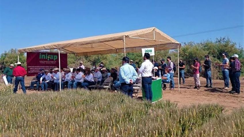 Fiesta en el sur de Sonora: Celebran hoy miércoles 22 de marzo tradicional Día del Agricultor 2023