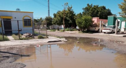 Vecinos de la colonia Ampliación Alameda en Ciudad Obregón reportan drenajes colapsados