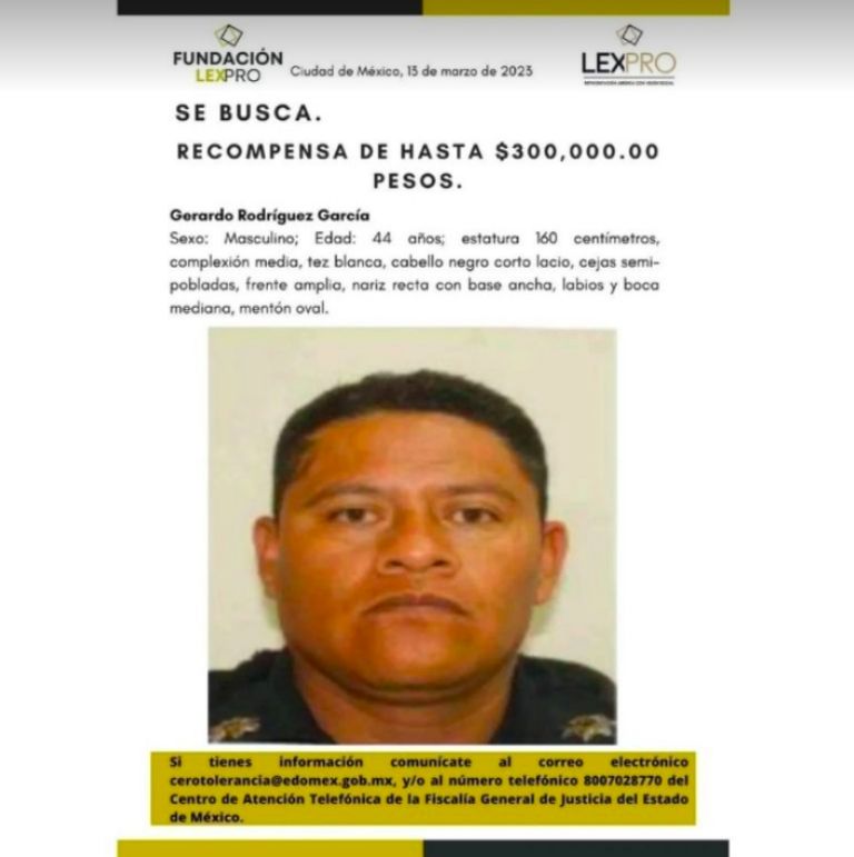 Foto volante de búsqueda 