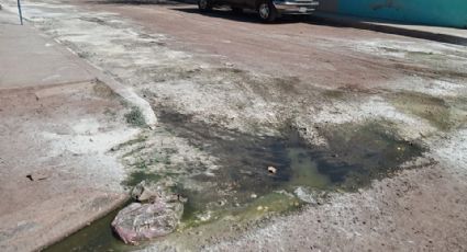 Vecinos de la colonia Cajeme en Ciudad Obregón cubren con calidra los charcos de aguas residuales