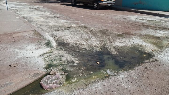 Vecinos de la colonia Cajeme en Ciudad Obregón cubren con calidra los charcos de aguas residuales