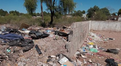 Usan como basurero público un baldío de la colonia Villa Bonita en Ciudad Obregón