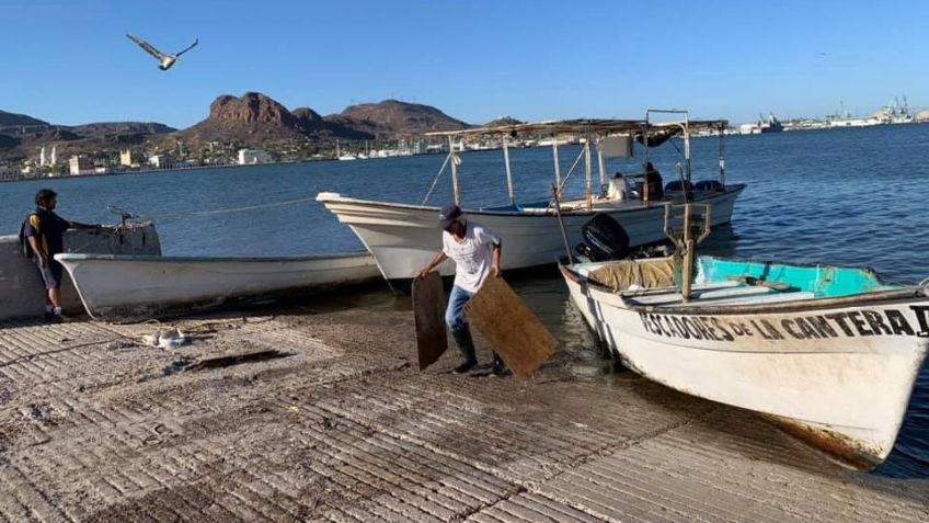 Ribereños 'apostarán' por paseos turísticos en la bahía de Guaymas; recibirán capacitación