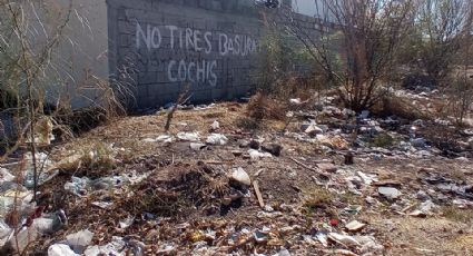 Vecinos de la colonia los Ángeles en Ciudad Obregón usan terreno baldío como basurero clandestino