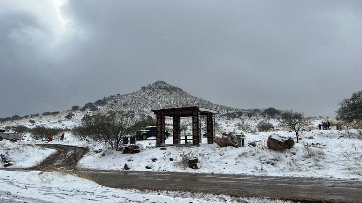 ¿Lloverá y nevará en Sonora hoy viernes 3 de marzo? Conagua comparte el pronóstico del clima
