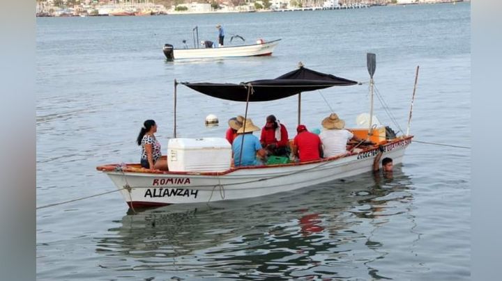 Temporada camaronera cierra con 2 mil 681 toneladas en Guaymas y Empalme