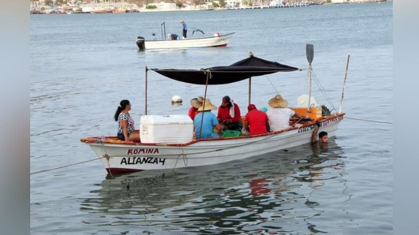 Temporada camaronera cierra con 2 mil 681 toneladas en Guaymas y Empalme