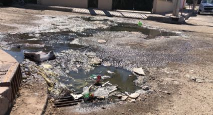 Ciudad Obregón: Vecinos de la colonia las Fuentes presentan problemas con el alcantarillado