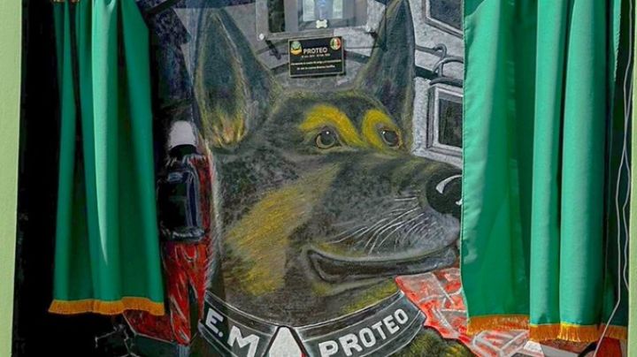 Orgullo para México: Sedena reconoce a 'Proteo' con estatua tras su muerte en Turquía