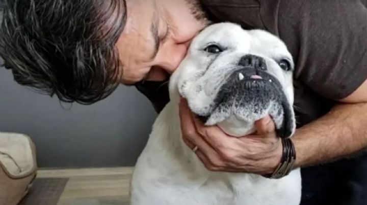 Aseguran que Eugenio Derbez demostraría más amor paternal hacia su perro que a sus hijos