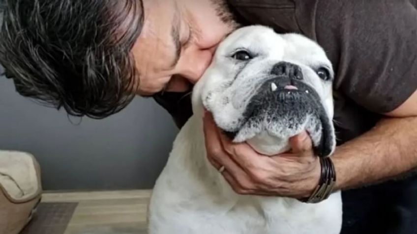 Aseguran que Eugenio Derbez demostraría más amor paternal hacia su perro que a sus hijos