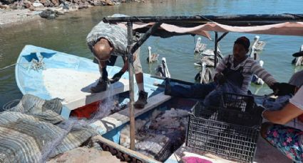 Pescadores tienen mal arranque de Cuaresma; les afecta mal tiempo y vigilancia de Marina