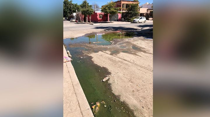 Vecinos de la colonia Cortinas en Ciudad Obregón presentan problemas con el drenaje desde hace meses