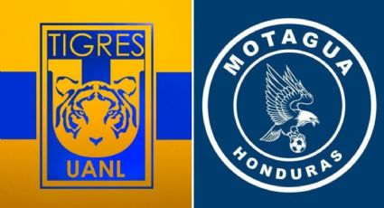 Tigres vs Motagua EN VIVO: ¿A qué hora y dónde ver el debut de Robert Siboldi en la Concachampions?