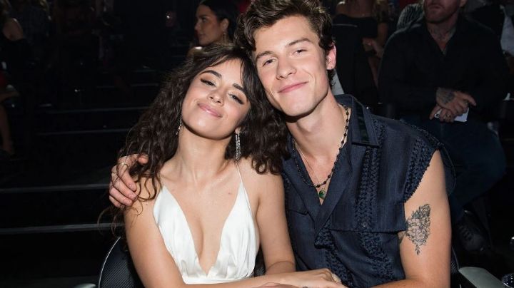 Sin titubeos, Camila Cabello confirma en VIDEO que ella y Shawn Mendes vuelven a estar juntos