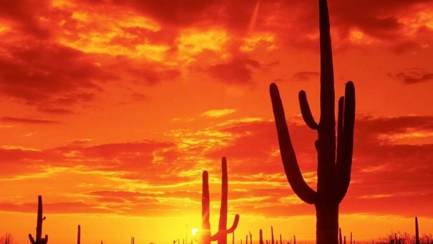 Clima en Sonora hoy lunes 17 de abril 2023: ¡Toma nota! Conagua alerta por ambiente caluroso