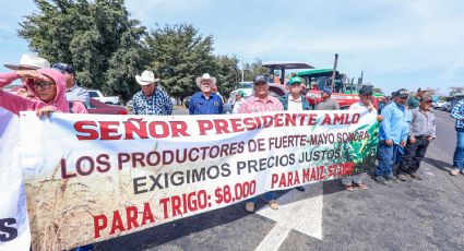 Productores de Sonora buscan ejercer presión al no recibir respuesta sobre precios de trigo y maíz