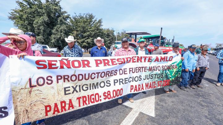 Productores de Sonora buscan ejercer presión al no recibir respuesta sobre precios de trigo y maíz