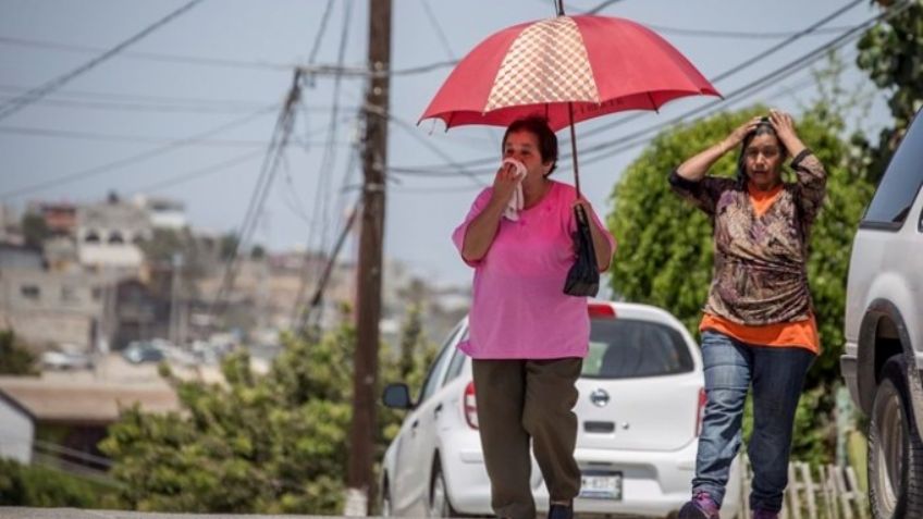 Clima en Sonora: Conagua alerta por altas temperaturas y tolvaneras en el norte de México