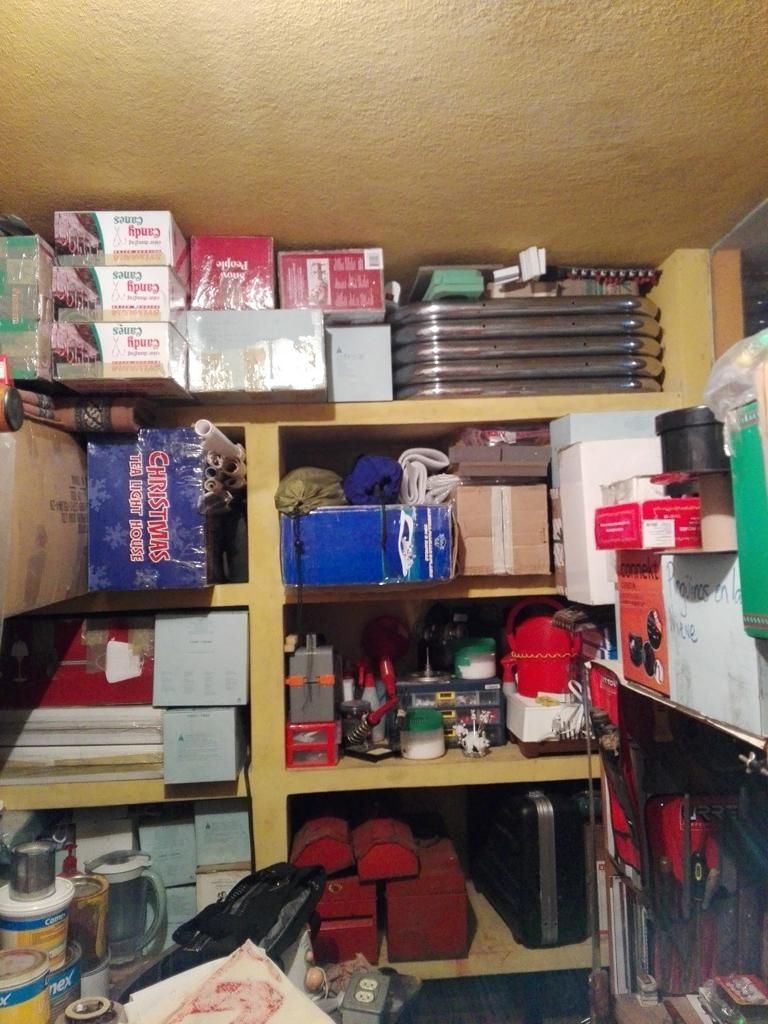 Araña violinista en Edomex