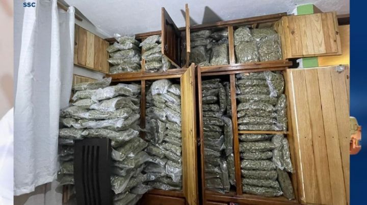 Aseguran ropero con más de 200 kilos de marihuana en Iztapalapa, la Fiscalía investiga el caso
