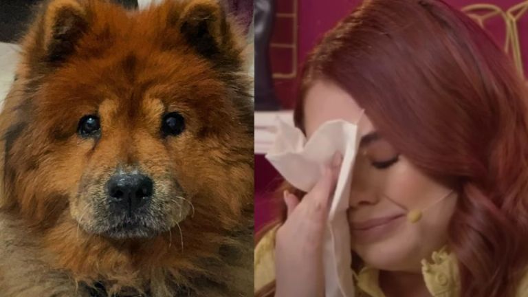 Mariana Botas rompió en llanto al recordar a su perrita