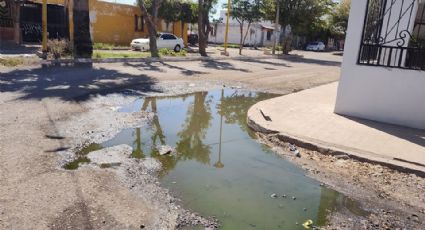 Ciudad Obregón: Vecinos de la Municipio Libre denuncian drenaje colapsado
