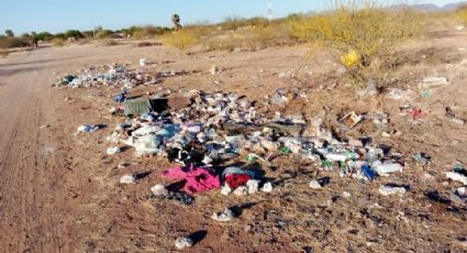 Ejidos del valle de Guaymas, inundados en basura; denuncian falta de servicio de recolección