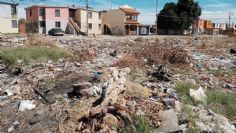 Ciudad Obregón: Vecinos de la Primero de Mayo denuncian terreno baldío convertido en basurero