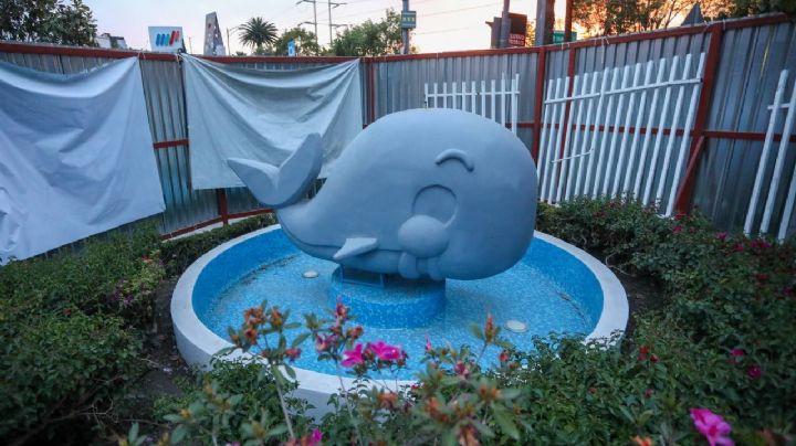 Sandra Cuevas inaugura "La ballenita", el nuevo parque acuático de la CDMX en la Cuauhtémoc