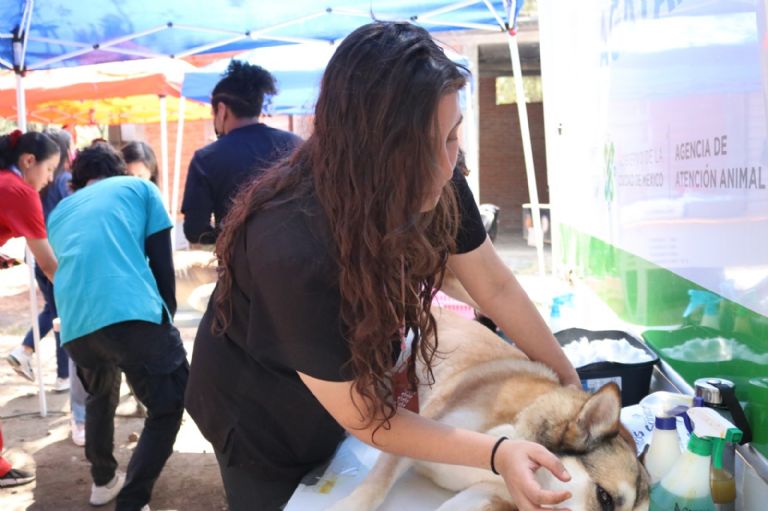 Jornada de Esterilización en CDMX