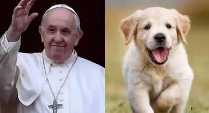 De no creer: El Papa Francisco se niega a dar una bendición; una mujer la pidió para su mascota