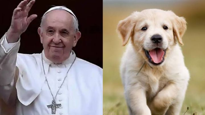 De no creer: El Papa Francisco se niega a dar una bendición; una mujer la pidió para su mascota
