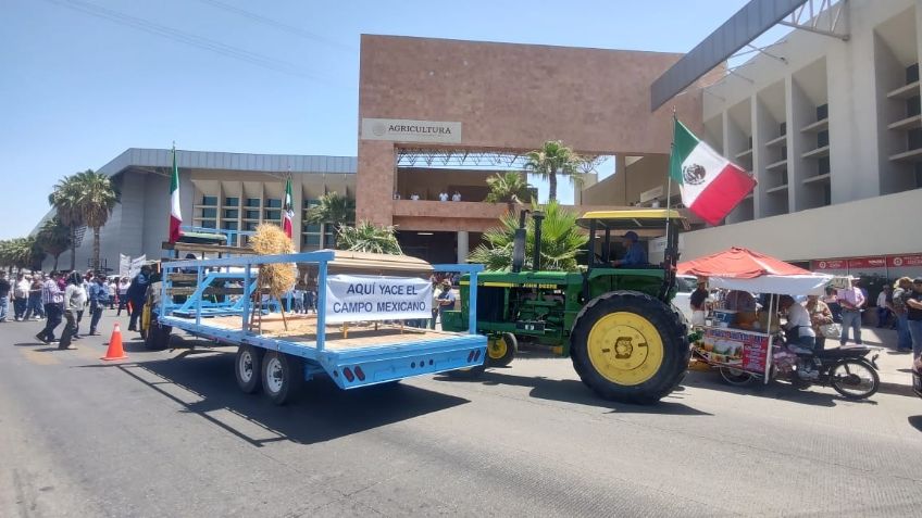 VIDEOS: Productores de trigo viajan a la Sader para manifestarse por falta de apoyo al campo