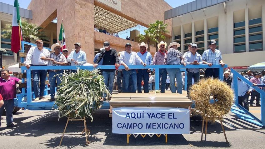 Cajeme se suma a la lucha por el precio de trigo y maíz; productores llegan a la Sader