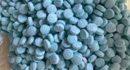 Golpe al narco: En el Gobierno de AMLO se han destruido 19 laboratorios de fentanilo, confirma GN