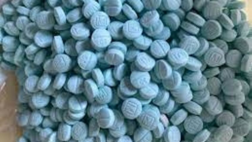 Golpe al narco: En el Gobierno de AMLO se han destruido 19 laboratorios de fentanilo, confirma GN