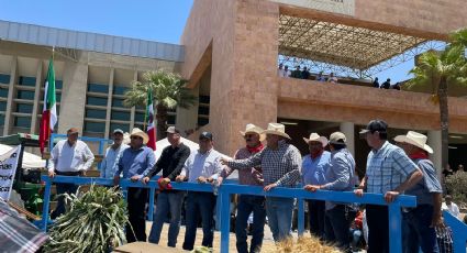 Sader realiza nueva propuesta a agricultores de Sonora; analizan retirar plantón en Cajeme