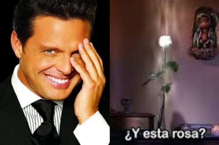 Luis Miguel dinero 