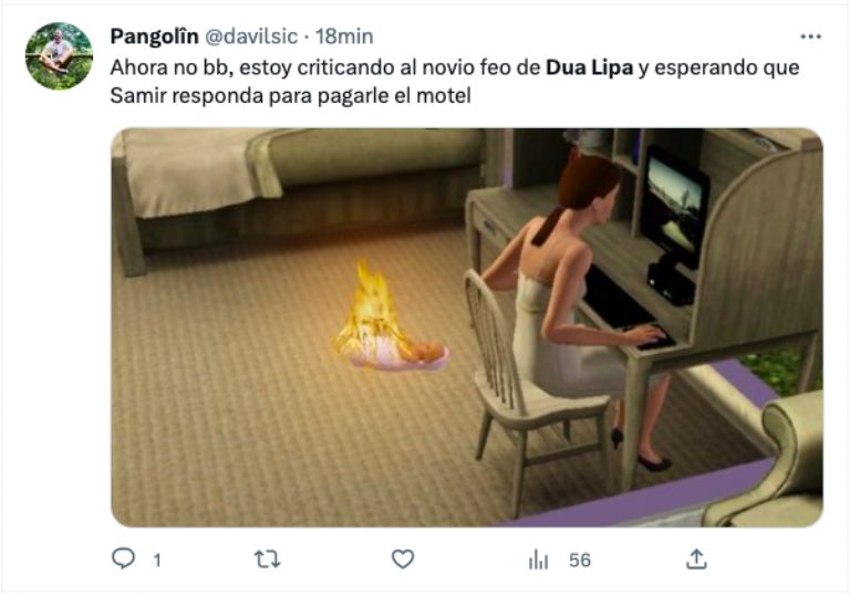 Memes Dua Lipa 