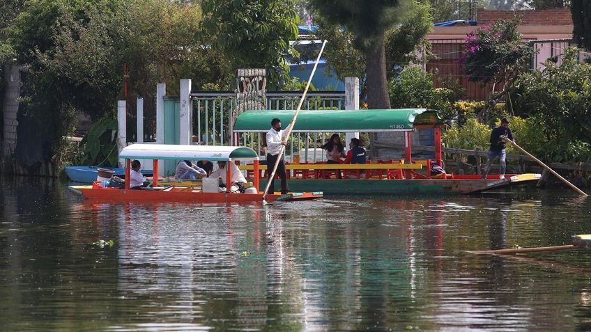 Lago de Xochimilco: Google le dedica  un Doodle a este lugar histórico de la Ciudad de México