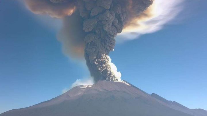 ¿Cayó ceniza del Popocatépetl en tu hogar? Así puedes proteger a tus mascotas y a tus alimentos