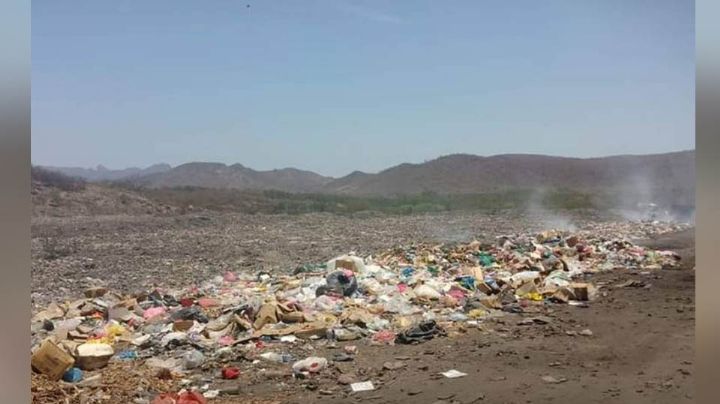 Tras riña en el basurón de Escuinapa, joven fallece tras ser baleado; no hay detenidos