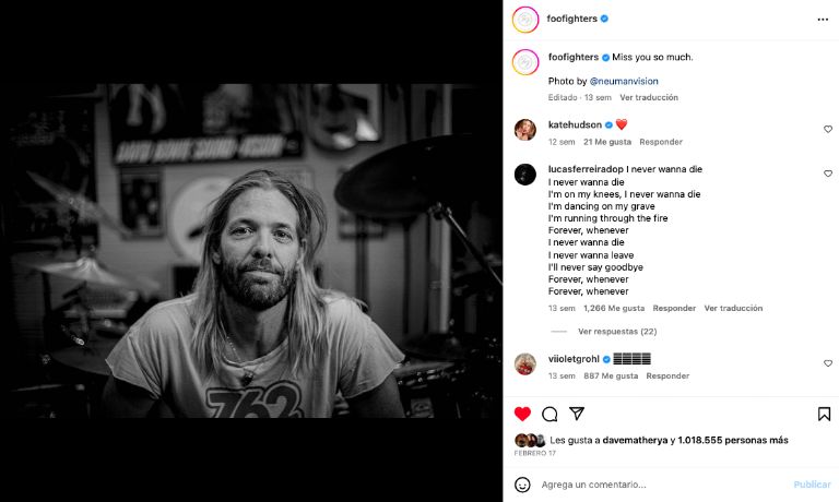 Taylor Hawkins 