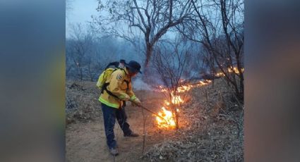 Incendios forestales han acabado con mil 217 hectáreas en la Región del Mayo