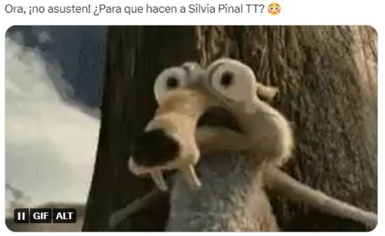 Silvia desato los memes tras volverse tendencia