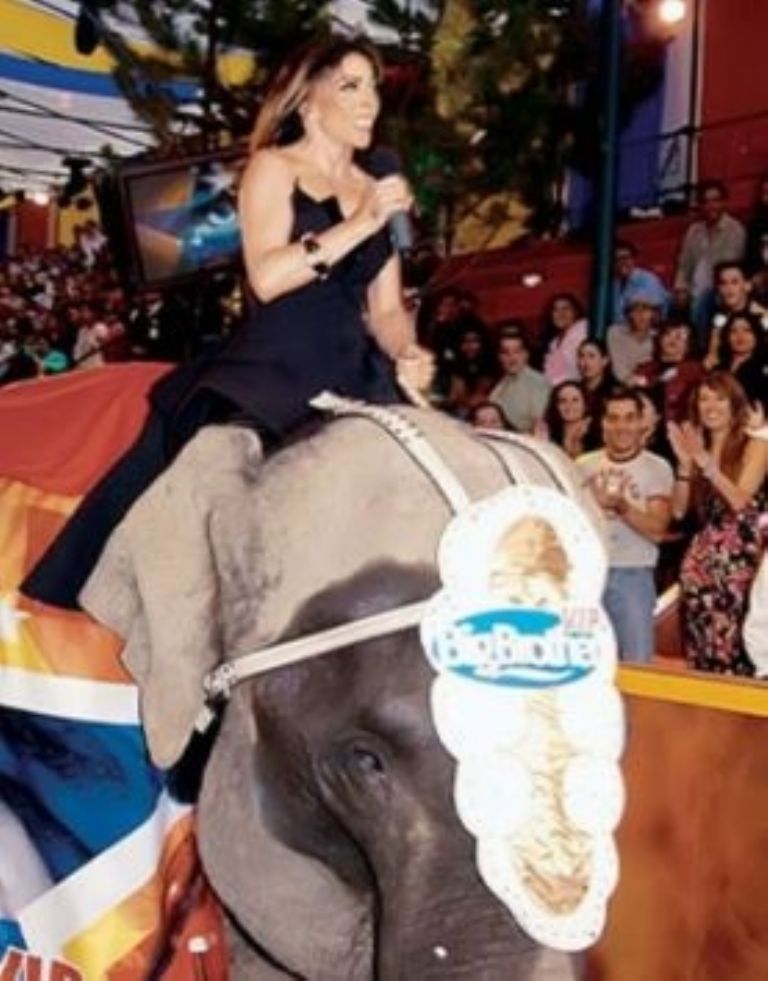 Verónica sufrió una caída desde un elefante