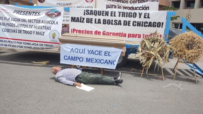 Los manifestantes colocaron un ataúd en el plantón