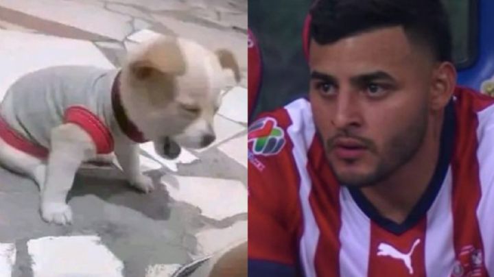 No perdonan: Las Chivas se vuelven blanco de MEMES tras perder la final 'en casa' ante Tigres